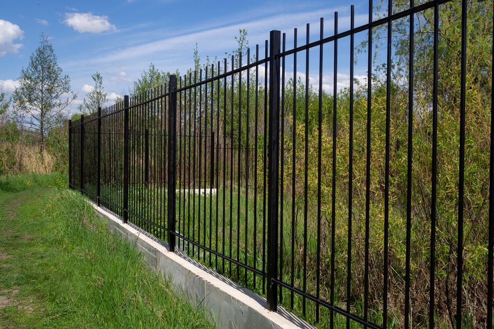 A black aluminum fence running along a person's grassy yard. You can see several trees and a blue sky in the background behind it.